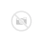 Windschild getönt, 365 mm hoch, 450 mm breit für Honda SH 125i-150i (17-19), mit ABE
