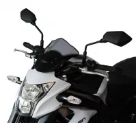 ER 6 N - Tourenscheibe "T" 2012-