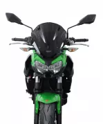 Z 650 - Racingscheibe "NRN" 2020-