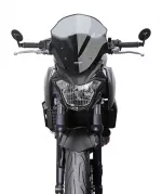 Z 650 - Racingscheibe "NRN" 2017-2019