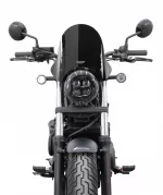 CMX 500 REBEL - Sportscheibe "NSP" 2020-